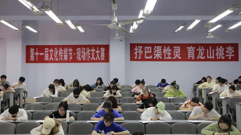 mg动画与Flash：入门者的学习选择解析